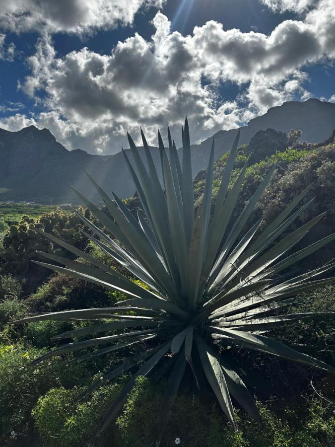 Aventura En Buenavista Del Norte Eksteriør bilde